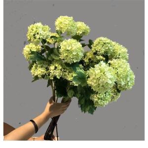 10Pcs 3-Heads/Branch Kunstmatige Hortensia Zijde Bloem Woonkamer Woondecoratie Lange Stam 80cm voor Woonkamer (A, 1pcs)