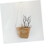 30 STK Halloween-korallentote Zweige Modelle Mit Künstlichen Zweigen Kunstzweige Für Vase Geweihförmige Äste Böhmische Zweige Halloween Getrockneter Baumzweig Black Plastik