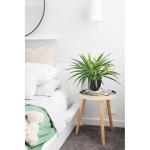 binnen in potten 33 cm nep spinplant decoratieve nep potplanten faux Chlorophytum Comosum kamerplant realistische kamerplant voor thuis badkamer keuken decoratie