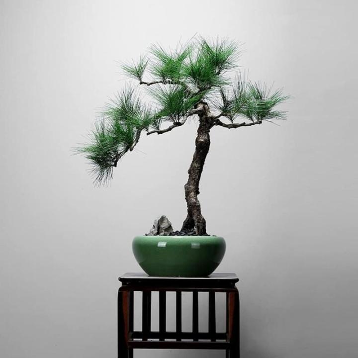 Kunstblumen Künstliche Topfpflanze in Keramikvase – Elegante Tischdekoration, 65 x 40 x 65 cm – ideal für Wohnzimmer, Arbeitszimmer für jeden Anlass