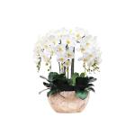 Kunstblumen Künstliches Phalaenopsis-Blumenarrangement – ​​Seidenorchideen für Heimdekoration, Hochzeiten, Partys und Büro – lebensecht für jeden Anlass