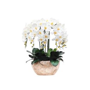 Kunstblumen Künstliches Phalaenopsis-Blumenarrangement – ​​Seidenorchideen für Heimdekoration, Hochzeiten, Partys und Büro – lebensecht für jeden Anlass