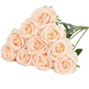 Kunstmatige Zijde Roos Bloem Enkele Stam Levensechte Nep Roos voor Bruiloft Boeket Bloemenarrangementen Huis Feest Bloemstuk Decoratie, 10 stuks (Champagne)