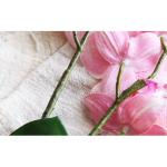 Kunstblumen Künstliche Blume mit Vase, Vivid Orchid Flowers Arrangement Phalaenopsis Flowers, Orchid Flowers Ornaments, Decor für jeden Anlass