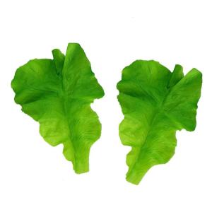 1 Satz PVC-Salat Künstliche Blätter Künstliche Pflanzen Künstliche Gefälschte Gemüsedekoration Naturgetreue Pflanzenverzierungen Lebensechtes Gemüse Gefälschtes Gemüse Gre