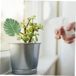 300 Stück Simulierte Schildkrötenblätter Hawaii Dekor Tropische Blätter Simulation Von Monstera Blättern Simulation Von Monstera Blättern Blumenarrangement Künstliche