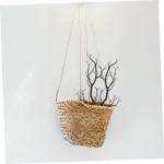 12 STK Halloween-Korallentote Zweige Rentiergeweihzweig gefälschter Laubpflanzenbaum Halloween-Party-Dekoration Kunststoffzweige Simulationszweig Zweige Dekor Plastik Black