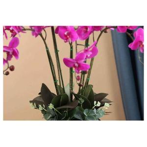 Kunstblumen Künstliches Blumenset, künstliche Phalaenopsis-Blumen, Pflanzenarrangement mit Keramiktopf, künstliche Ornamente in schöner Form für jeden Anlass