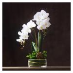 Kunstblumen Künstliche Blumen in transparenter Glasvase – Simuliertes Blumenarrangement für Wohnzimmer und Hochzeiten. Künstliche Blumen für jeden Anlass