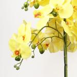 Realistische künstliche Orchideenpflanzen, vollständig getopft