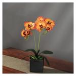 Kunstblumen Künstliches Phalaenopsis-Blumenarrangement, künstliche Orchideen-Bonsai im Topf, Pflanze für Zuhause, Büro, Küche, Schlafzimmer für jeden Anlass