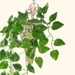 Kunstklimopslinger, 84 poten, 12 strengen, bladeren, wijnstokken, groene planten, slinger, ophanging, , canvas, achtergrond, bruiloft, boog, muur, jungle, tafel, feest, decoratie,