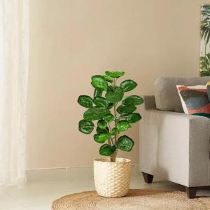Kunstplant in zwarte pot, 68 cm hoog, kunstmatige Aralia Balfour boom, kunstplant Aralia Polyscias Fabian plant, namaak-kaderaralie, potplant voor thuis, kantoor, woonkamer decorat