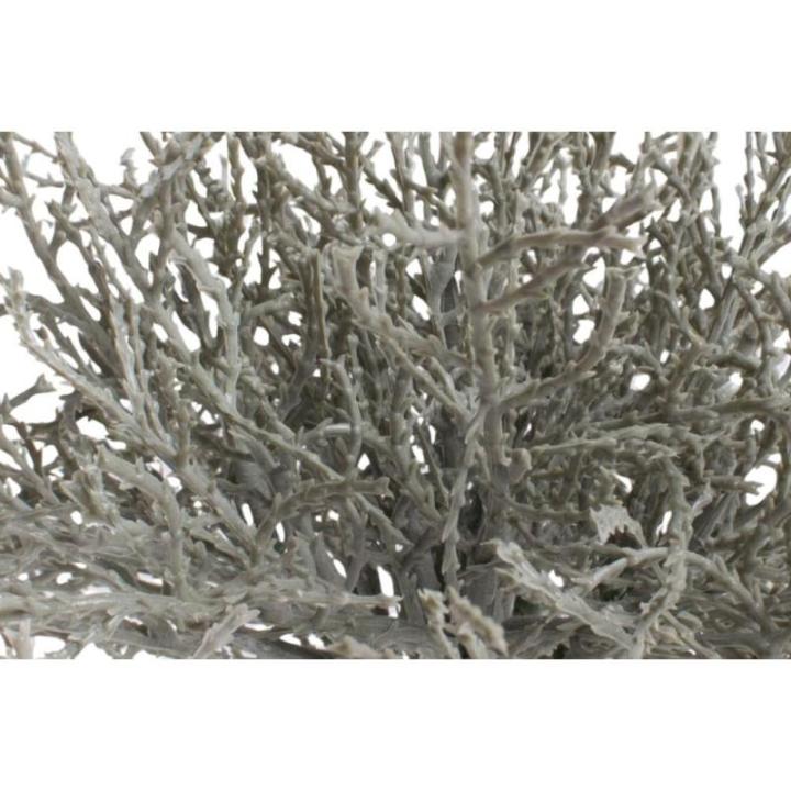 Kunstmatige Calocephalus (prikkeldraad plant/zilveren mandje) Kleur: grijs (2 stuks)