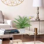 , klein, in pot, 40,6 cm, als echt, kunstkamerplanten voor thuis, kantoor, hotel, bookwinkel, café, moderne decoratie