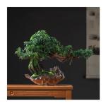 Künstlicher Bonsai-Baum Künstliche Bonsai-Kiefer, 61 cm, künstliche Topf-Kiefer, künstliche Pflanzen for Heim- und Bürodekoration, Höhe 40,6 cm Künstliche Bäume Pflanzen(A)