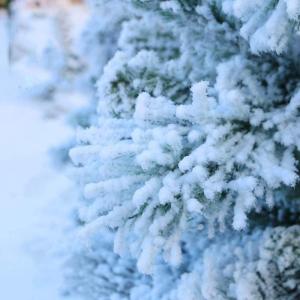 Weihnachtsbaum, komplett dekorierter Tannenbaum, solide Metallbeine, natürlich Alpin, für drinnen und künstlicher Weihnachtsbaum, beflockt, schneebedeckt, dekorierte Bäum，A-1