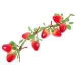 4 Stück Simulierte Erdbeere Gefälschte Erdbeerrebe Gefälschte Fruchtgirlandenrebe Simulation Gefälschte Erdbeere Künstliche Lebensechte Erdbeere Garten-kunstobst Rot Styropor