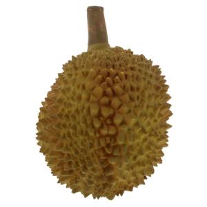 Simulation Durian Gefälschte Früchte Realistische Durian Früchte Foto Requisiten Durian Ornamente Lebensechte Früchte Künstliche Gemüse Dekor Obst Party Dekoration Künstlich