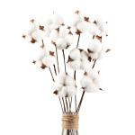 10 stuks katoenen decoratie, natuurlijk gedroogde katoen, droogbloemen, decoratie voor de perfecte bruiloft, bloemenarrangementen thuis, decoratie, doe-het-zelf decoratie, thuisfee