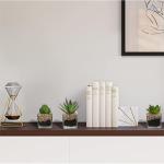 Kunstplant kunstmatige vetplant kamerplant decoratieve woonkamer, badkamer decoratieve plant vetplant, hoogte 10,5 cm, in glazen pot, set van 3