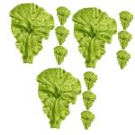 3 Sätze Pflanzliche Requisiten Kunstpflanze Künstliche Pflanzen Küchen-Dekoration Künstliches Gemüse Gemüse-Display Lebensmitteldekor Simulation Salatblatt PVC Green 4 Stück