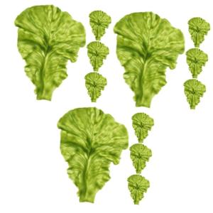 3 Sätze Pflanzliche Requisiten Kunstpflanze Künstliche Pflanzen Küchen-Dekoration Künstliches Gemüse Gemüse-Display Lebensmitteldekor Simulation Salatblatt PVC Green 4 Stück