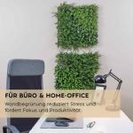wand, bosgroen, set van 2, elk 50 x 50 cm, groen voor binnen en buiten, uv-bestendig, onderhoudsvriendelijk en duurzaam, verticale tuin voor een feel-good sfeer en