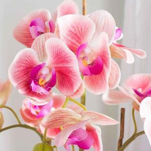 Kunstblumen Künstliche Orchideen mit Goldener Vase, Hochzeitsfeier, Heimdekoration, Phalaenopsis-Blume, Seidenblumen-Arrangement, Bonsai für jeden Anlass