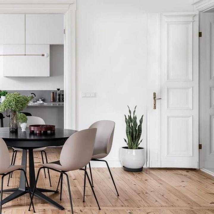 Sansevieria , 2 stuks, hoogte 64 cm, , decoratie, woonkamer, plant, kamerplanten, balkon, kantoor, decoratie, kunstplant voor tuin, kantoordecoratie