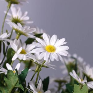 2 x witte margriet boeketten , kunstmatige witte madeliefjes boeket, faux madeliefje bos, margriet takken voor bloemenarrangement, bruiloft middelpunt decoraties