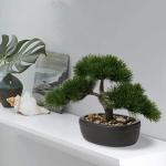 Kunstbonsai Natuurgetrouwe kunstplant, kunstboom, bonsai, ceder, grenen, podocarpus, plastic plant, kunstplant met keramische pot in zwart, voor badkamerdecoratie, desktop, kantoor