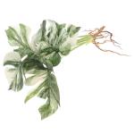 Zarte Kunstpflanze Dekoratives Künstliches Monstera Grünes Dekor Desktop-künstliche Pflanze Büro Künstliche Pflanze Künstliche Monstera-Pflanze Lebendige Gefälschte Pflanze 