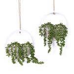 Kunstvetplanten, 2 stuks, hangende parelketting, plantenmand, kunstbloem, plant, voor binnen en buiten, bruiloft, feest, huis, tuin, wanddecoratie