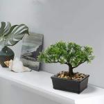 Kunstbonsai Natuurgetrouwe kunstplant, kunstboom, bonsai, ceder, grenen, podocarpus, plastic plant, kunstplant met keramische pot in zwart, voor badkamerdecoratie, desktop, kantoor