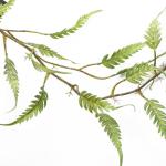 Ontwerp kunstmatige hangende planten