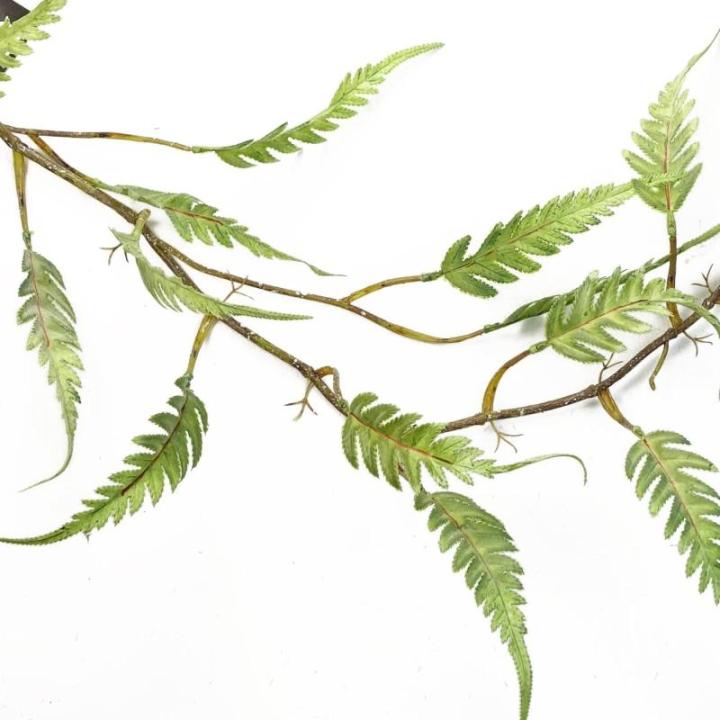 Ontwerp kunstmatige hangende planten