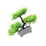 Kunstmatige decoratieve plant in pot, kunstplant, uitnodigend dennengroen, in pot voor keuken, bureau, decoratief