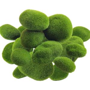 Kunstmos 30 stuks mosballen, groene mosballen, decoratieve mosstenen, kunst, mos, geconserveerde decoratie voor mosafbeelding, DIY, knutselen, modelbouw