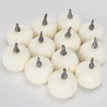 12 stuks pompoenen herfstdecoratie pompoenen decoratieve pompoenen herfstdecoratie herfstdecoraties kunstpompoenen voor herfst Thanksgiving Halloween feestdecoratie thuis boerderij