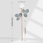 10 stuks witte kunstrozen, 50 cm, lang, enkele roos, kunstbloem, zijden bloesem, roos, realistische bloem voor tafel, kantoor, feest, bruiloft, woondecoratie (wit, 10 stuks)