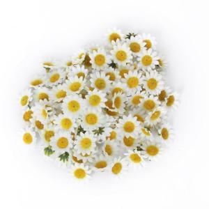 100 Stks Kunstmatige Gerbera Madeliefje Bloem Zonnebloem Hoofden voor DIY Wedding Party Decor