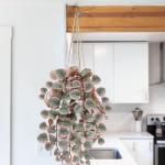 als echt, hangende , 43 cm, decoratieve planten, kunstplant in pot, hangende eucalyptus, plastic planten voor slaapkamer, woonkamer, kantoor, decoratie, roze