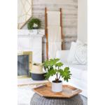 2 stuks tropische , klein, in pot, wit, decoratieve planten in pot, als echt, tropische geldplant, plastic planten voor woonkamer, kantoor, decoratie