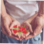 3 Sätze Simuliertes Erdbeer Küchenfruchtmodell Falsche Fruchtdekoration Gefälschte Früchte Gefälschte Erdbeeren Künstliche Früchte Erdbeeren Erdbeer Requisiten 18 Stück * 3