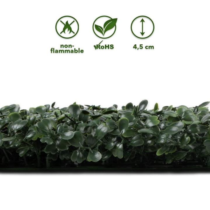 Plantenwand, , wandplanten, 50 x 50 cm, decoratie voor muur/balkon/tuin, donkergroen