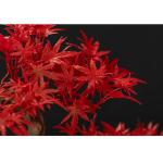Kunstbonsai-boom bonsai-boom, kunstmatige grenen, bonsai-interieurdecoratie, kunstmatige bonsai-planten voor interieur, kantoordecoratie (rood) kunstbomenplanten (kleur: a)