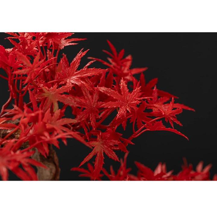 Kunstbonsai-boom bonsai-boom, kunstmatige grenen, bonsai-interieurdecoratie, kunstmatige bonsai-planten voor interieur, kantoordecoratie (rood) kunstbomenplanten (kleur: a)