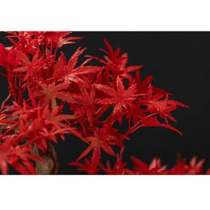 Kunstbonsai-boom bonsai-boom, kunstmatige grenen, bonsai-interieurdecoratie, kunstmatige bonsai-planten voor interieur, kantoordecoratie (rood) kunstbomenplanten (kleur: b)