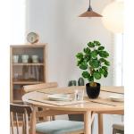 45 cm kleine , in pot, decoratieve planten in pot, zoals echt, Chinese geldplant, plastic planten voor woonkamer, slaapkamer, kantoor, decoratie